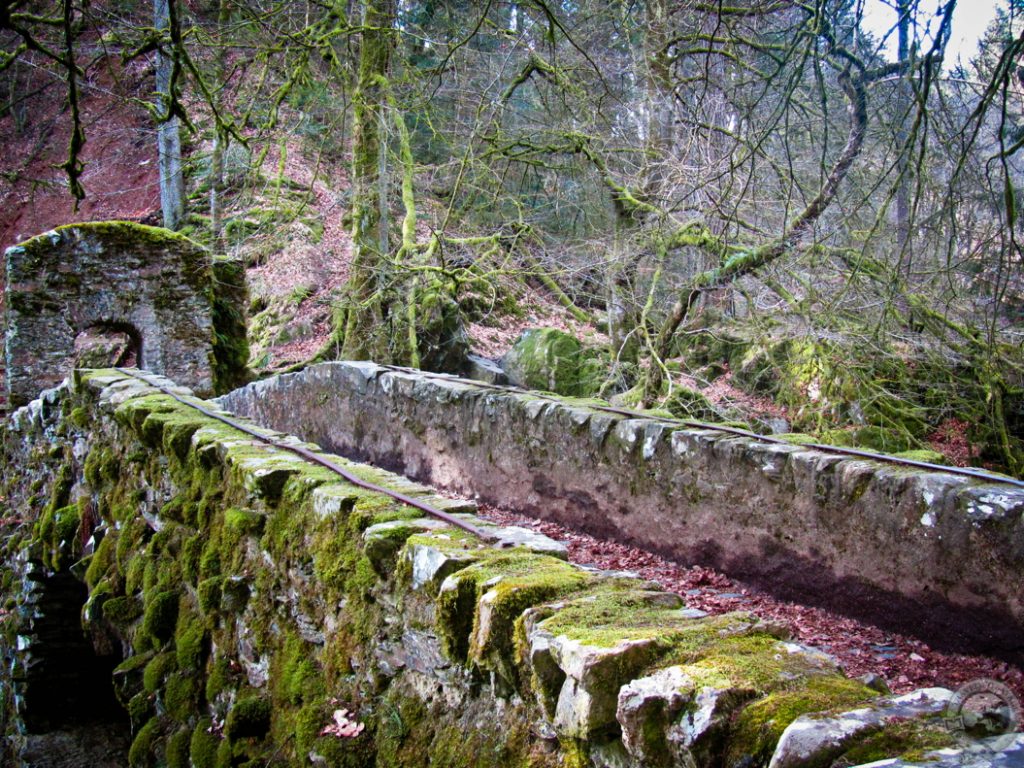 The Hermitage, Perthshire, Scotland