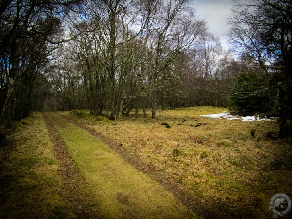 The Hermitage, Perthshire, Scotland