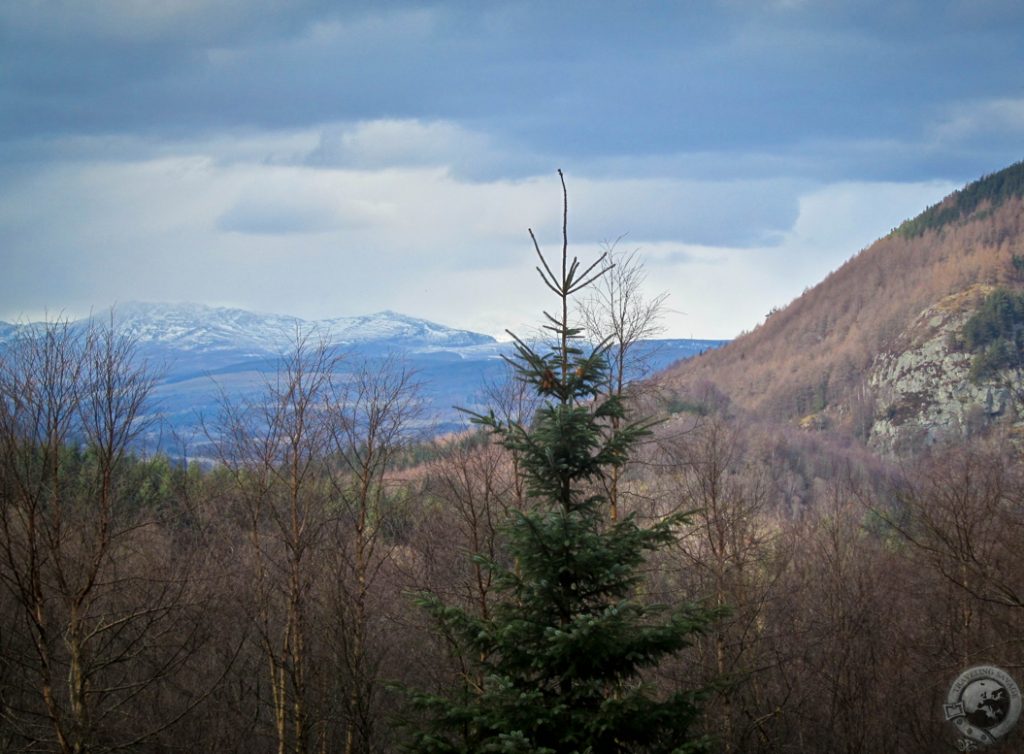 The Hermitage, Perthshire, Scotland