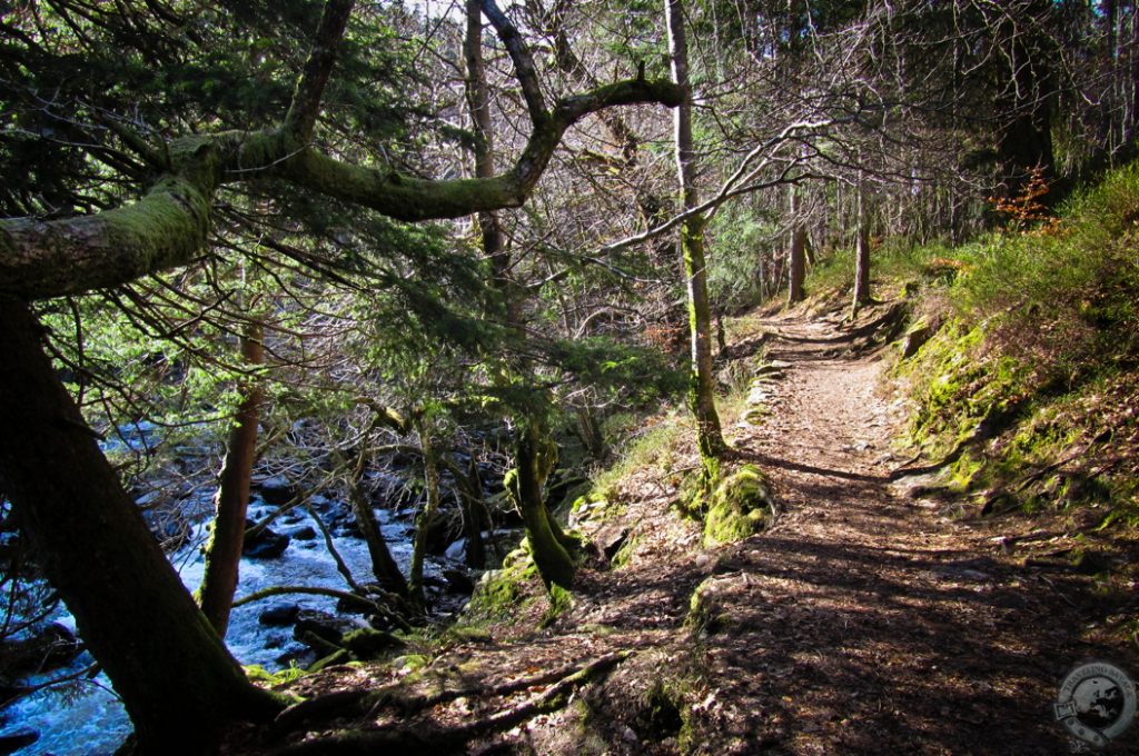 The Hermitage, Perthshire, Scotland