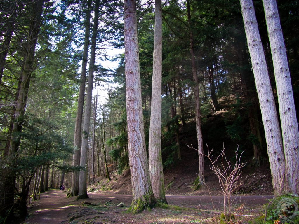 The Hermitage, Perthshire, Scotland