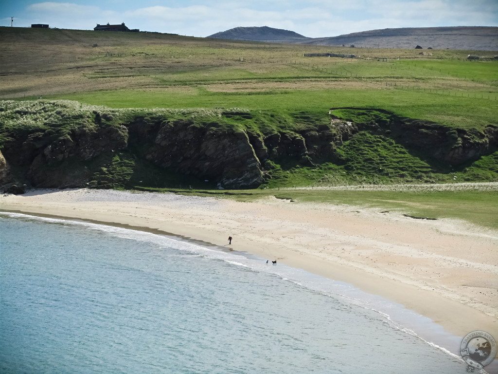 Ramble On: Driving Tours of Shetland