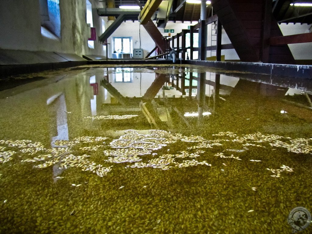 From Grain to Glass, Balvenie's Labor of Love