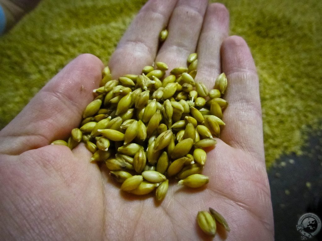 From Grain to Glass, Balvenie's Labor of Love