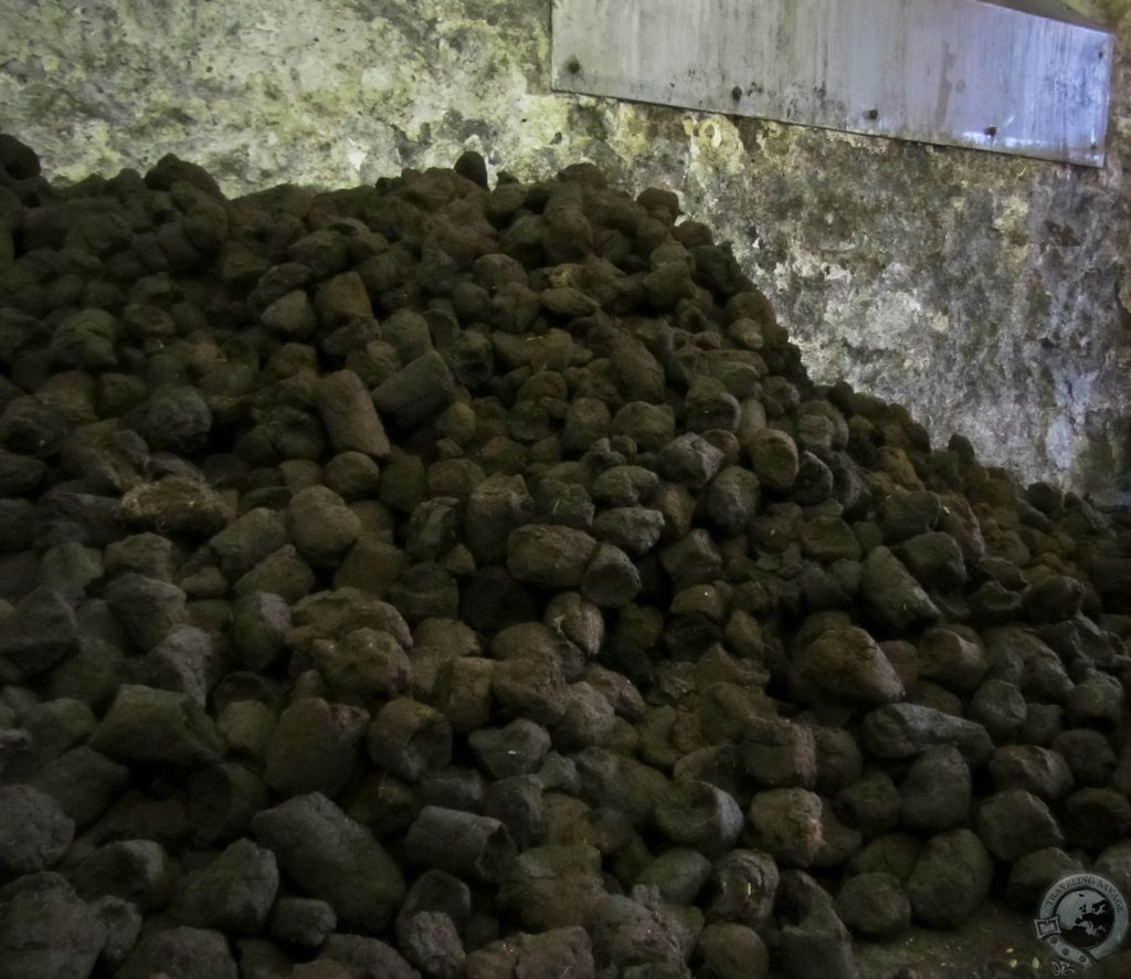 From Grain to Glass, Balvenie's Labor of Love