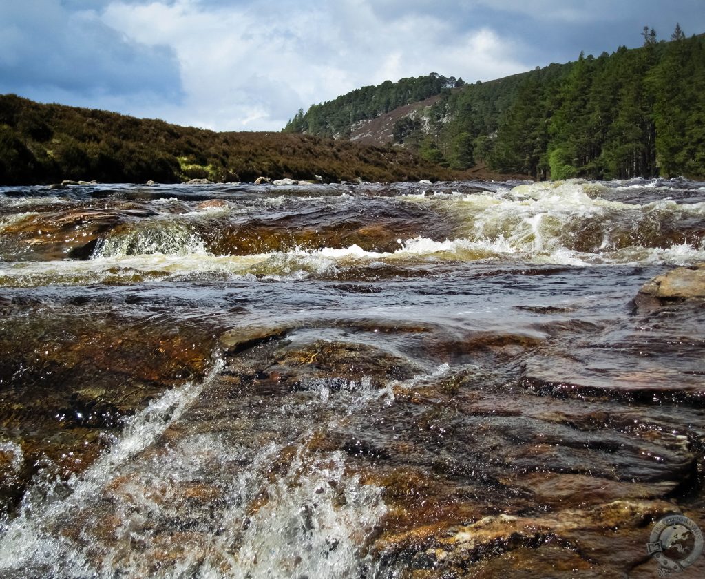 Exploring the Cairngorms' Mar Lodge Estate