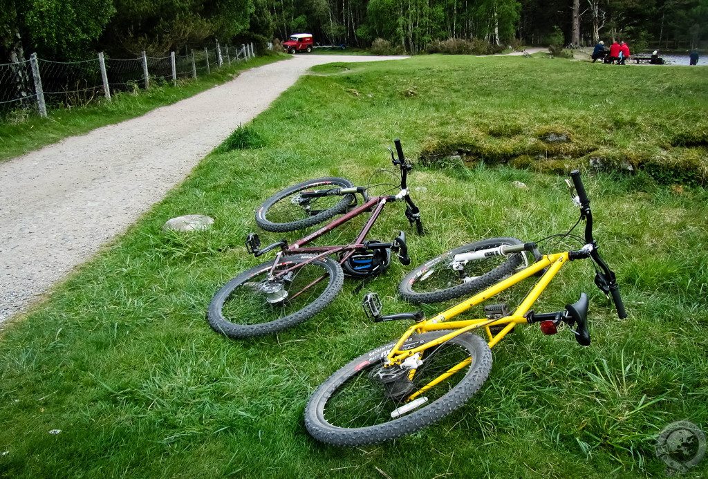 Biking Rothiemurchus' Wild Glory