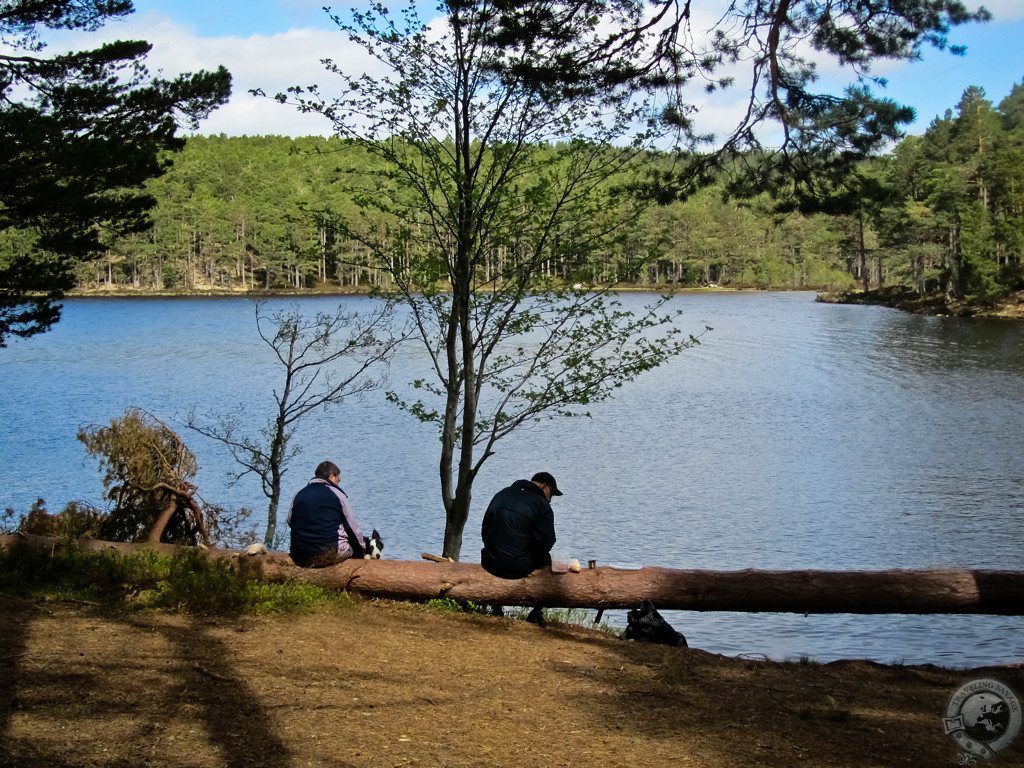 Biking Rothiemurchus' Wild Glory