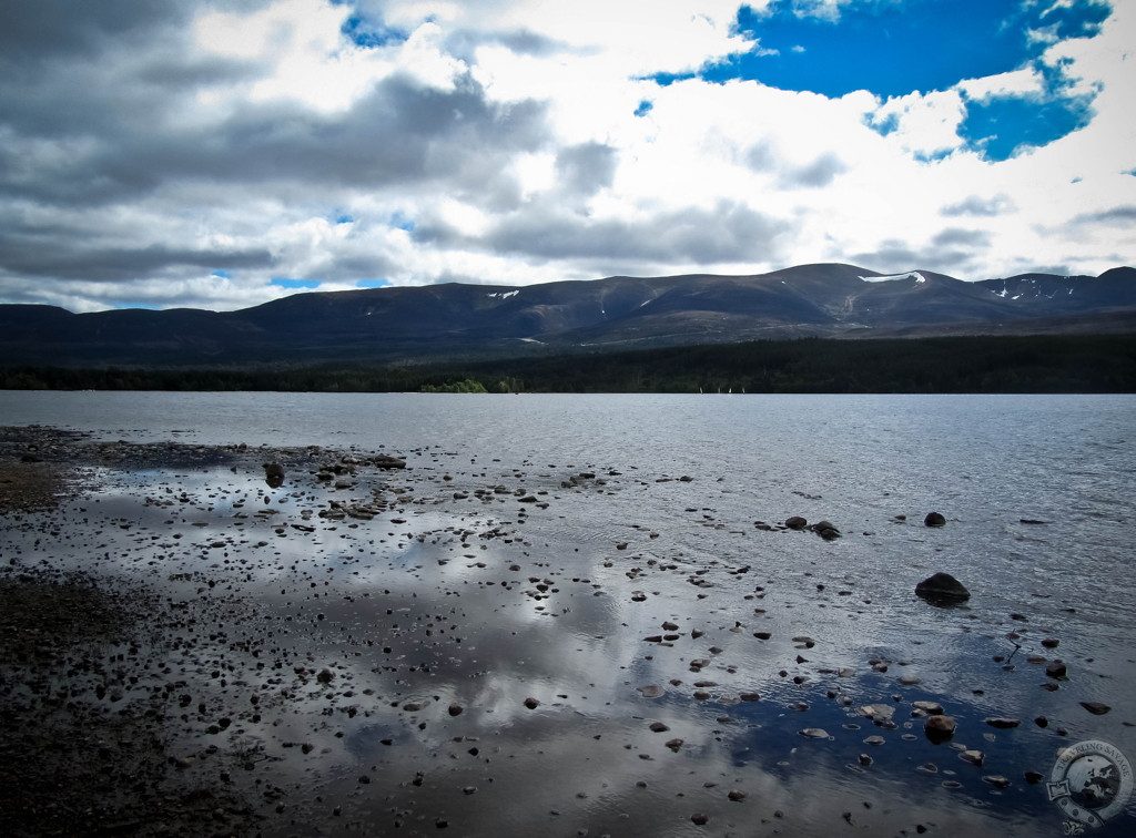 Biking Rothiemurchus' Wild Glory