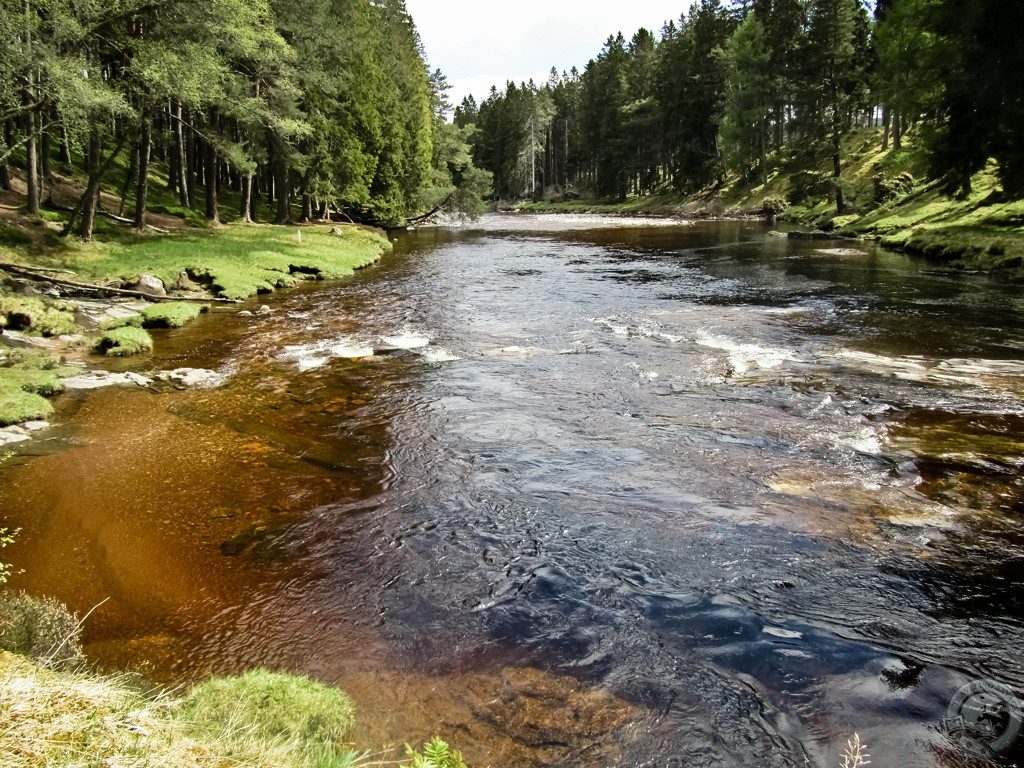 Exploring the Cairngorms' Mar Lodge Estate