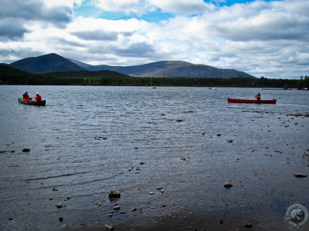 Biking Rothiemurchus' Wild Glory