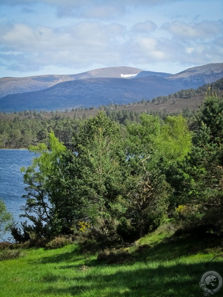 Biking Rothiemurchus' Wild Glory