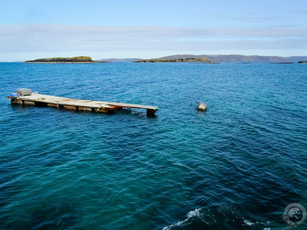 To Staffa and the Treshnish Isles: Crossing the Sea with Turus Mara