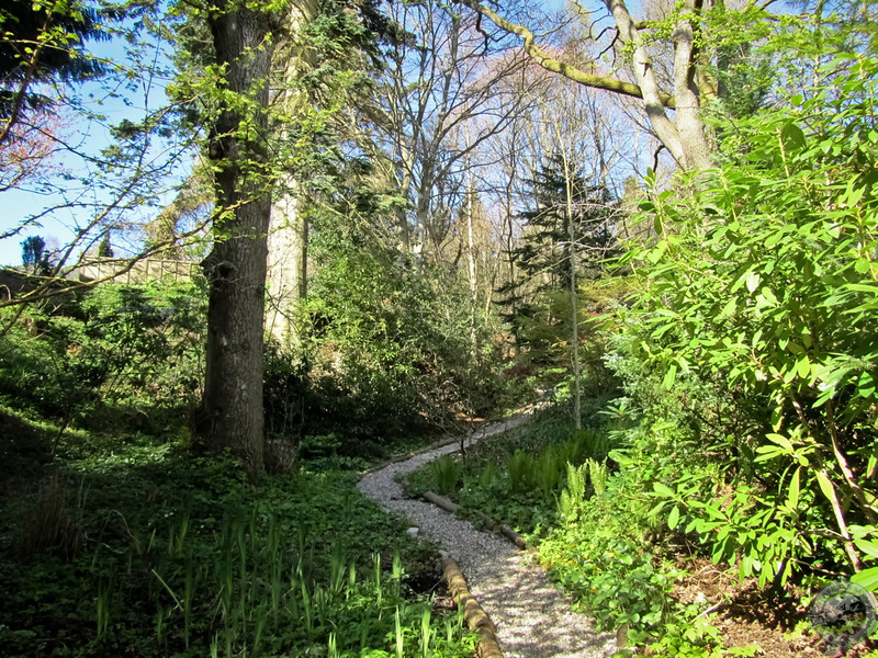 A Winding Path on Torrdarach House's Beautiful Grounds