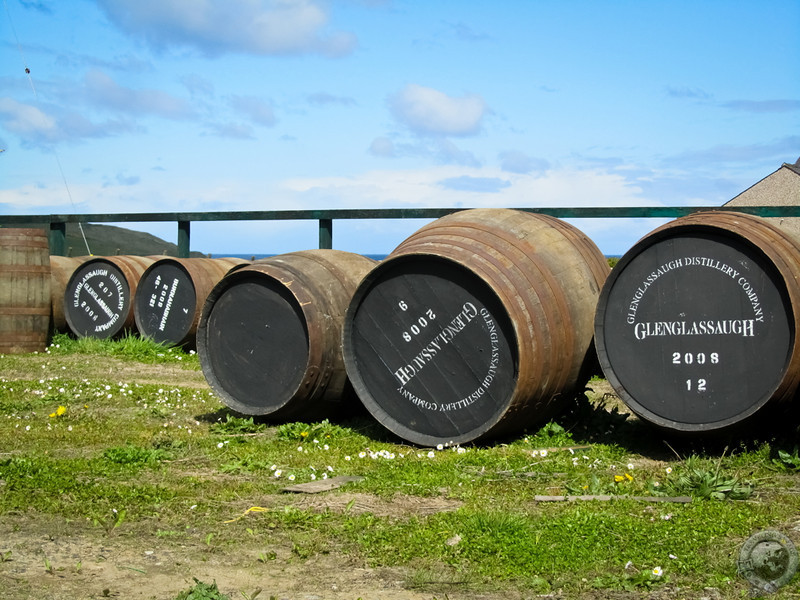 Loiterers at Glenglassaugh