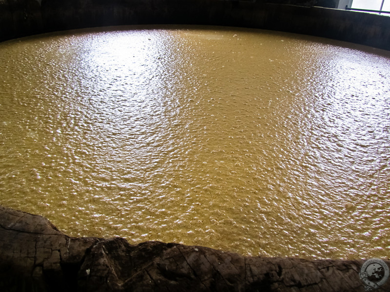 Fermenting Porridge...mmmm