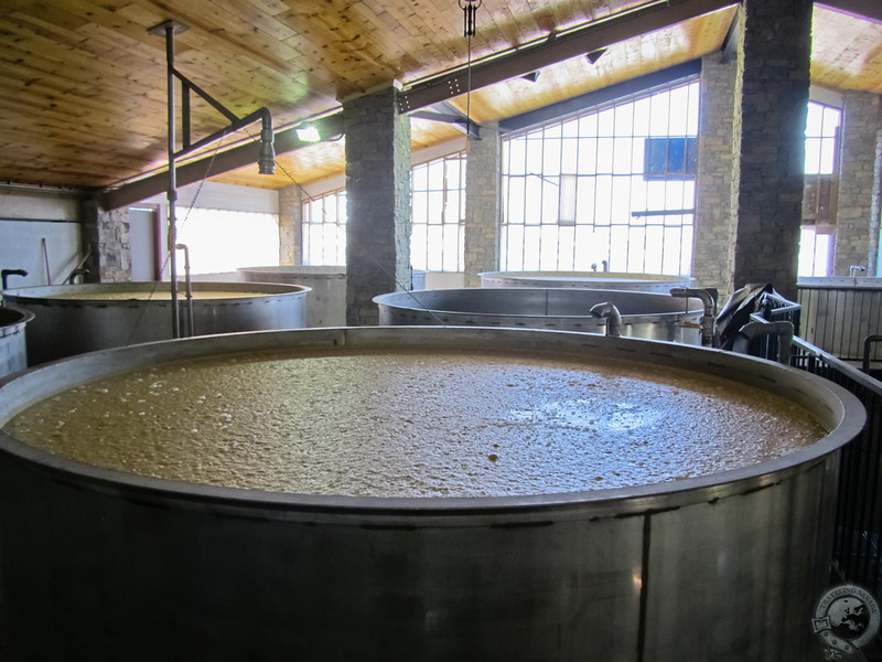 Fermentation Bubbling Away