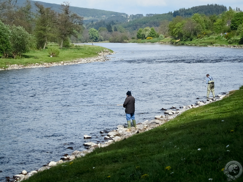 Anglers along the River Spey