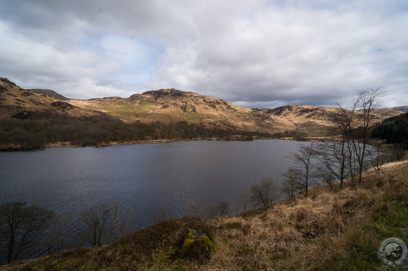 Loch Trool in the Galloway Forest Park, Dumfries & Galloway