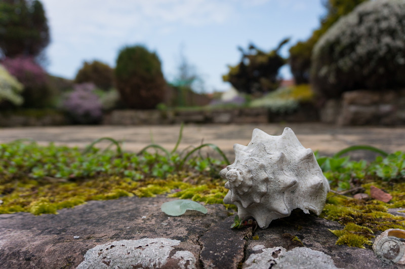 In the garden at Sandcastle Cottage, Crail, Fife