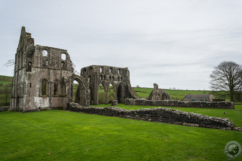 Dundrennan Abbey angle view