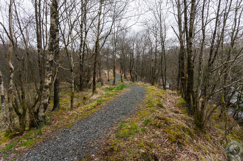 Rock trail leading toward Glen Trool