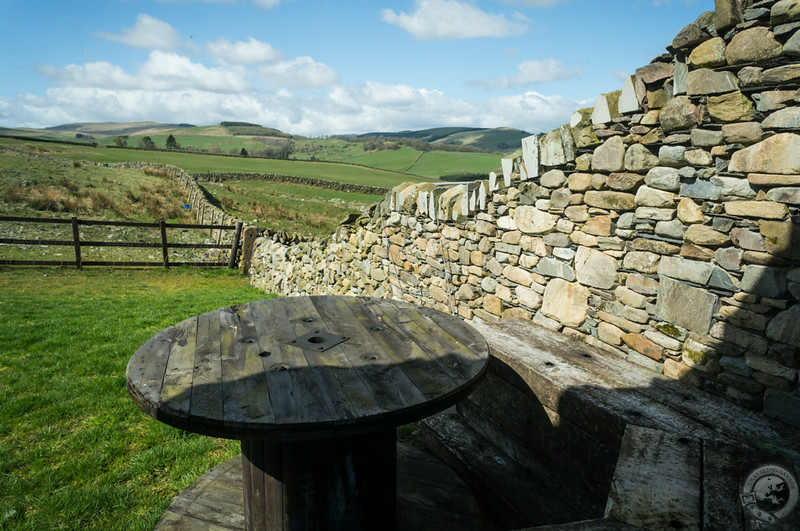 The wall of Three Glens continuing across the pastures