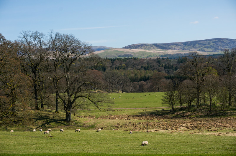 Countryside around Drumlanrig Castle