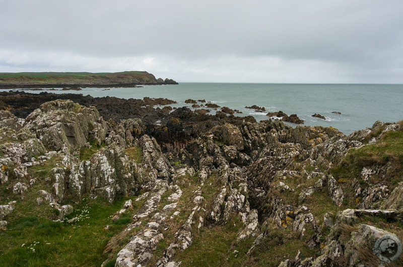 The coast near Isle of Whithorn