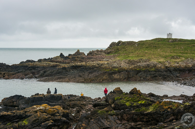 Fishing at Isle of Whithorn
