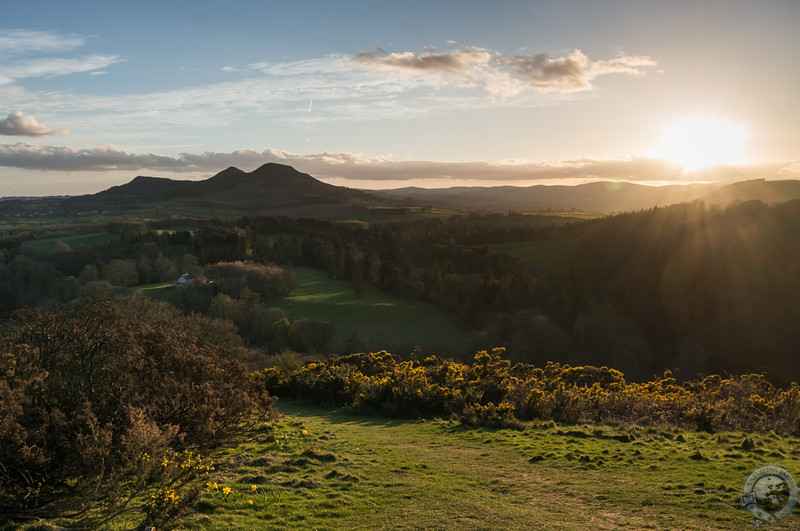 Sunset at Scott's View