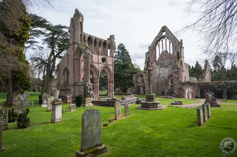 First look at the ruins of Dryburgh Abbey