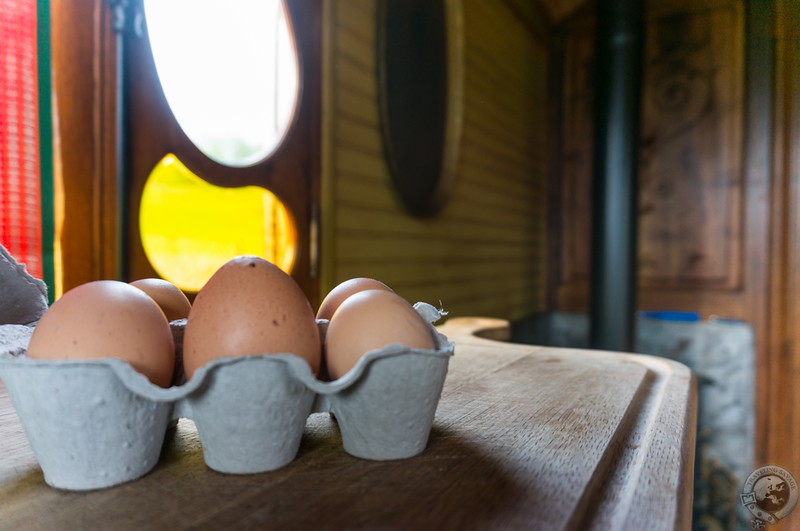 Fresh eggs from the retreat's chickens