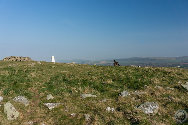 The top of Traprain Law