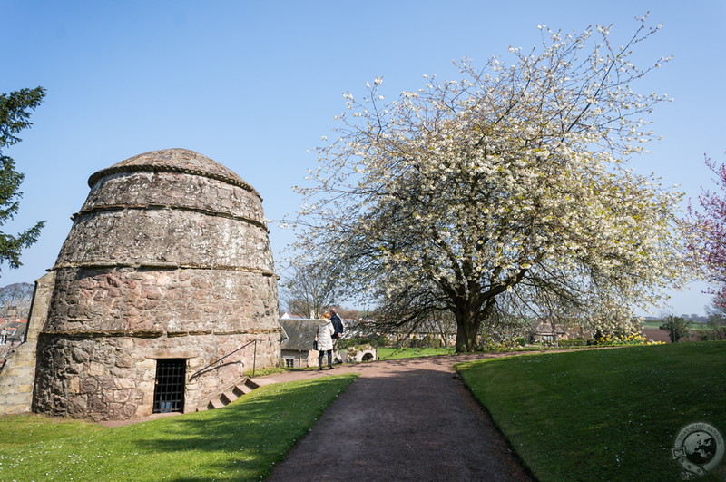 Dirleton Castle's 16th-century doocot