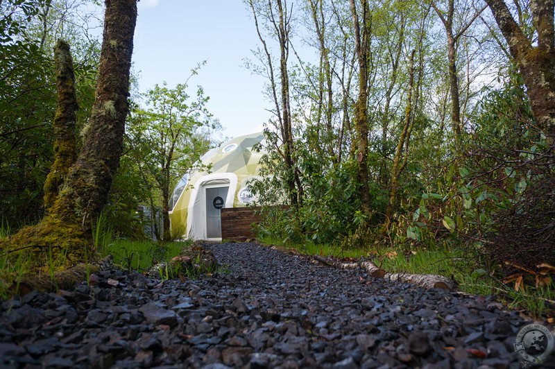 Through the woods to the Ecopod Boutique Retreat