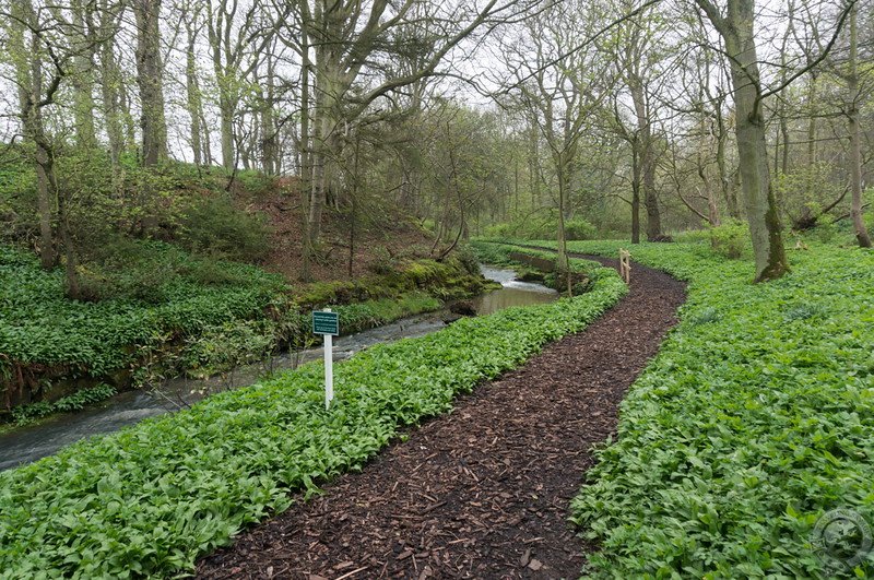 Through the wooded estate lands