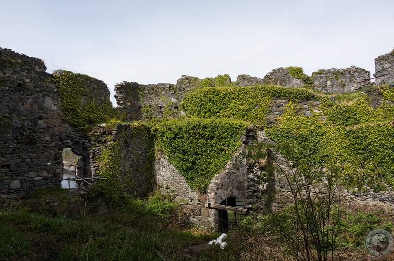 Hundreds of years of growth cover the ruins of Castle Tioram