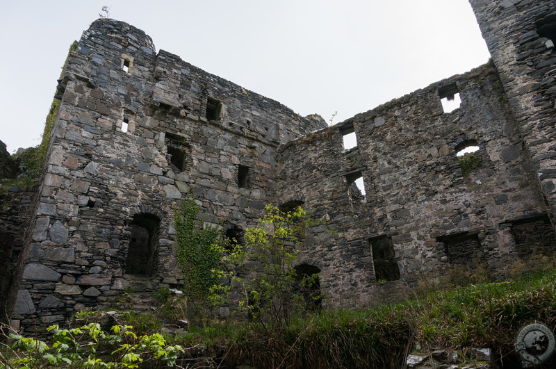 Inside the overgrown walls of Castle Tioram