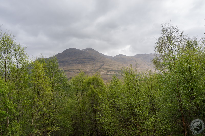 The view to Beinn Sgulaird