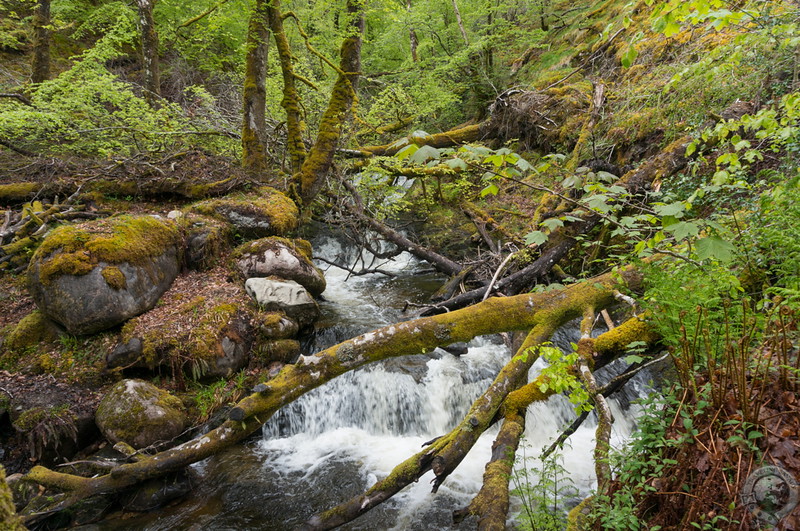 Rushing waters