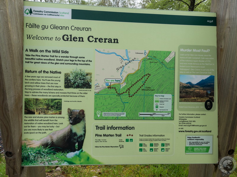 The Glen Creran Pine Marten Trail