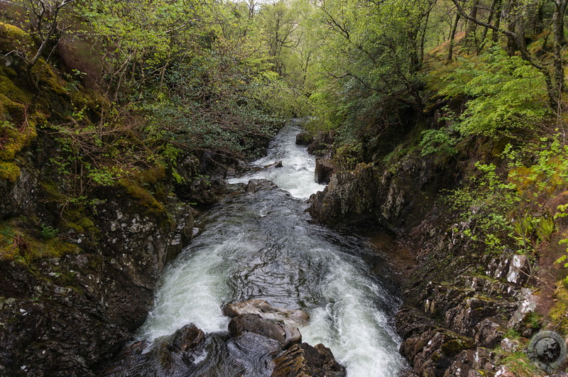 The raging River Coe