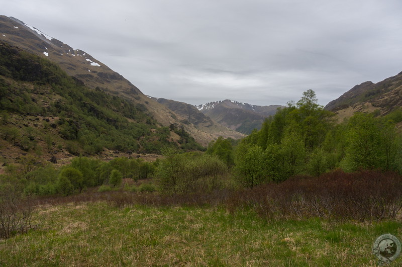 Windswept Glen Nevis