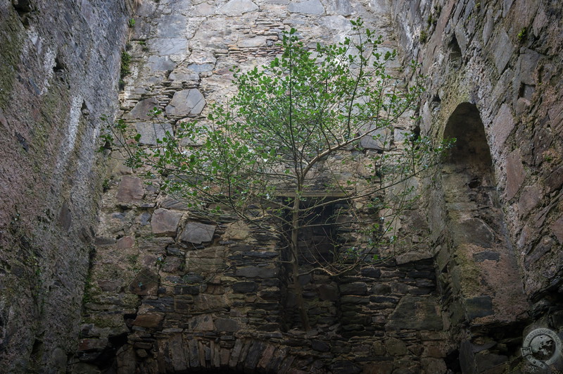 Life in Castle Tioram