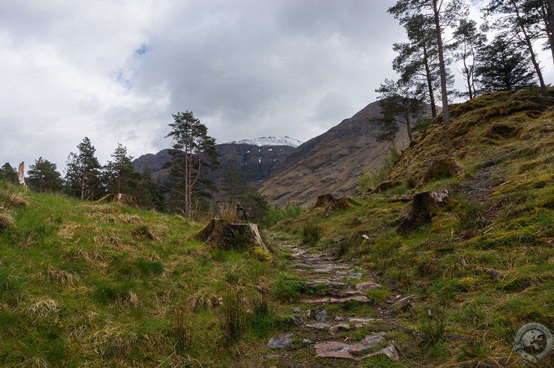 Hiking in Glencoe