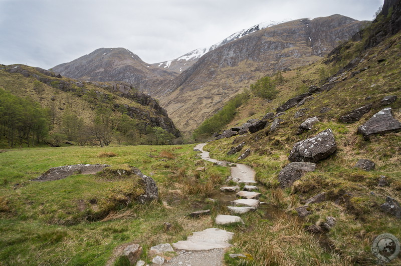 The path home