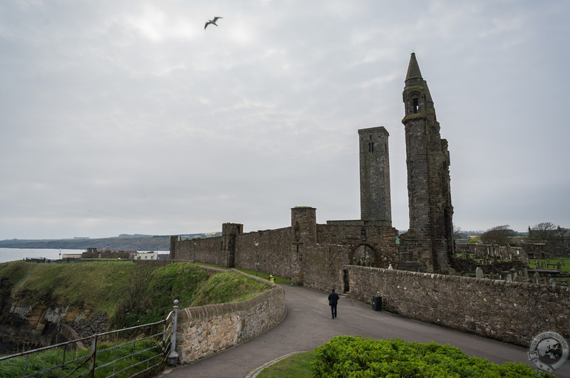 Gulls and Ruins