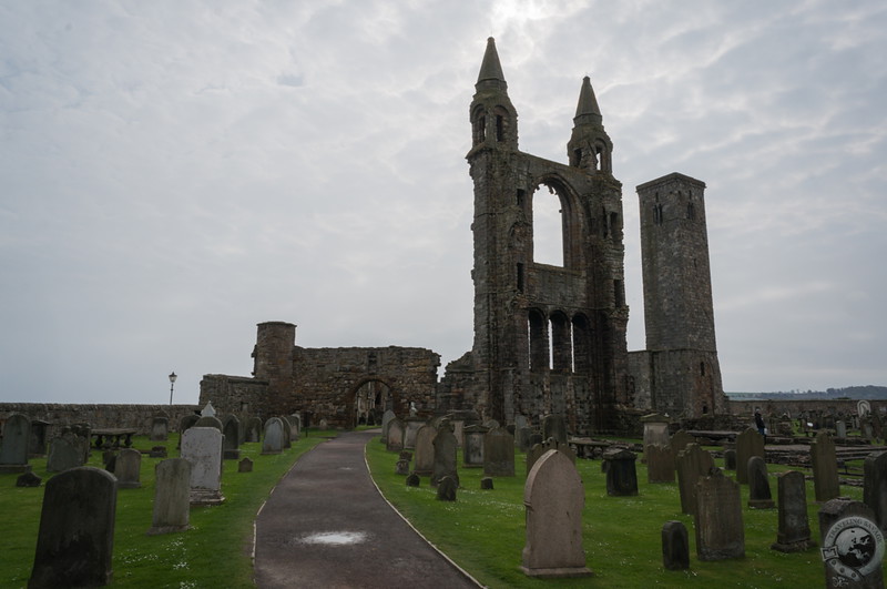 Exploring the grounds of St. Andrews Cathedral