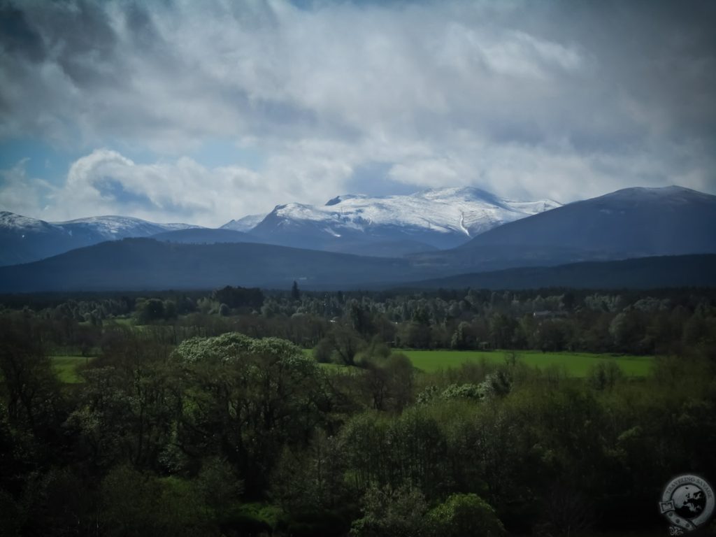 Western Cairngorms, Cairngorms, Scotland